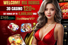 Special Festival Promotions — Chinese N - 365cuci Malaysia