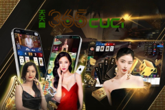 Baccarat Odds Payout Guide – Why  - 365cuci Malaysia